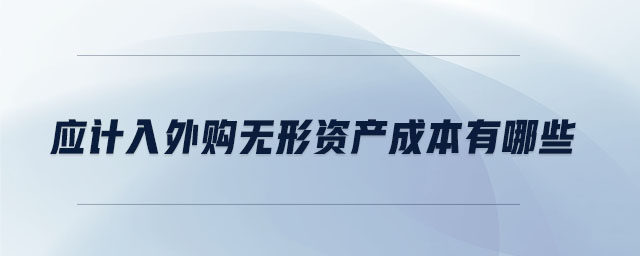 應(yīng)計(jì)入外購無形資產(chǎn)成本有哪些