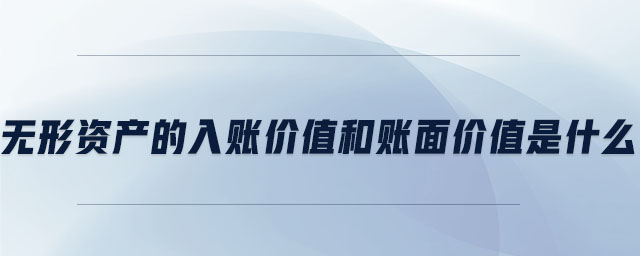 無形資產(chǎn)的入賬價值和賬面價值是什么