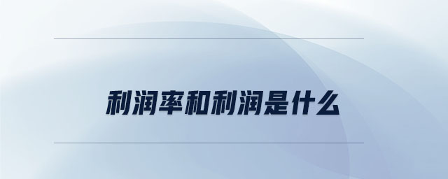 利潤(rùn)率和利潤(rùn)是什么
