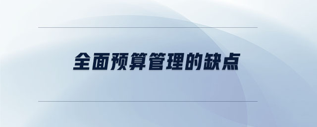 全面預(yù)算管理的缺點(diǎn)