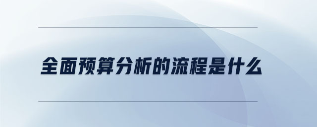 全面預算分析的流程是什么