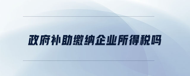 政府補助繳納企業(yè)所得稅嗎