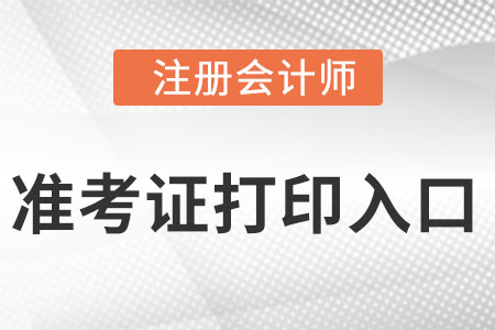 山東省注冊(cè)會(huì)計(jì)師準(zhǔn)考證打印入口官網(wǎng)網(wǎng)址是什么？