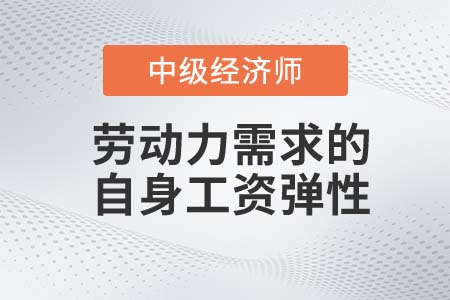勞動力需求的自身工資彈性_2022中級經(jīng)濟師人力資源知識點