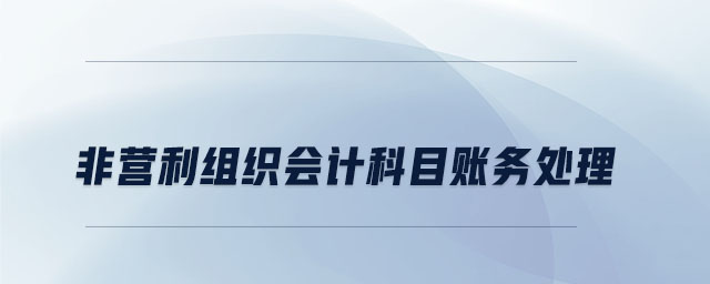 非營(yíng)利組織會(huì)計(jì)科目賬務(wù)處理