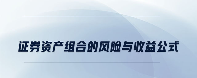 證券資產(chǎn)組合的風險與收益公式