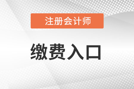 注冊(cè)會(huì)計(jì)師報(bào)名繳費(fèi)入口關(guān)閉了么？