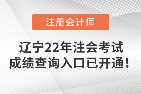 遼寧省大連2022年注冊(cè)會(huì)計(jì)師考試成績查詢?nèi)肟谝验_通！