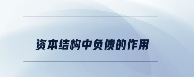 資本結(jié)構(gòu)中負債的作用