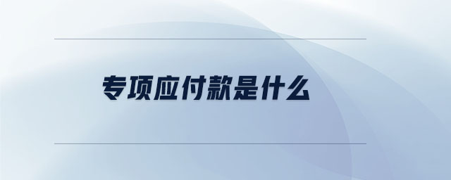 專(zhuān)項(xiàng)應(yīng)付款是什么