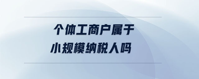 個體工商戶屬于小規(guī)模納稅人嗎