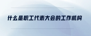什么是職工代表大會的工作機(jī)構(gòu)