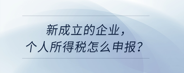 新成立的企業(yè)，個(gè)人所得稅怎么申報(bào)？