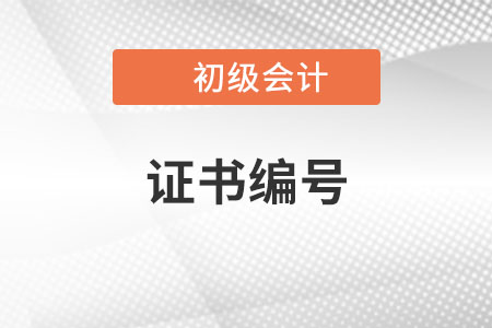 2023年初級(jí)會(huì)計(jì)報(bào)名表上有兩個(gè)證書(shū)編號(hào)，怎么填？