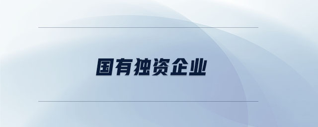 國有獨資企業(yè)