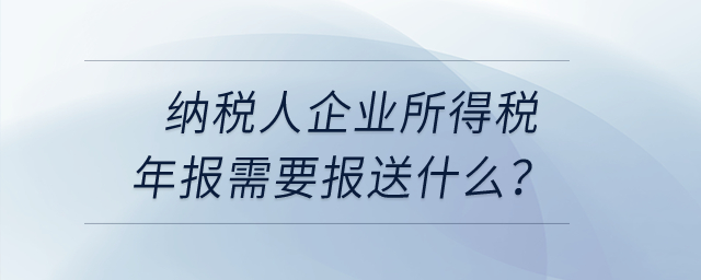 納稅人企業(yè)所得稅年報需要報送什么？