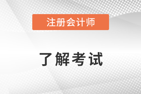 注冊會計師考試題目類型