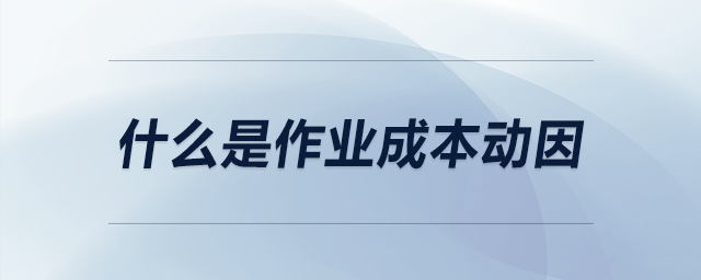 什么是作業(yè)成本動因