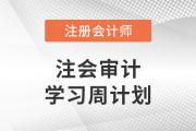2023年注會(huì)審計(jì)基礎(chǔ)階段學(xué)習(xí)計(jì)劃！建議收藏！