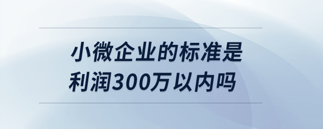 小微企業(yè)的標準是利潤300萬以內嗎？