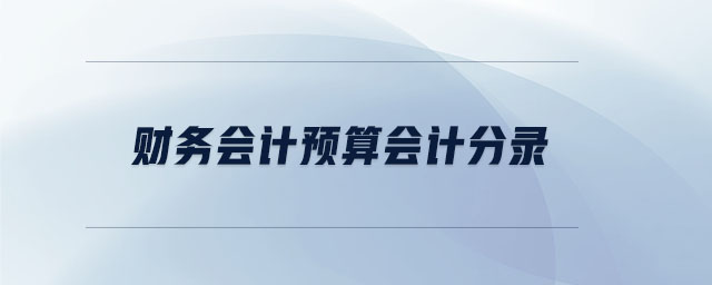 財務(wù)會計預(yù)算會計分錄