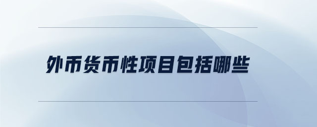 外幣貨幣性項目包括哪些