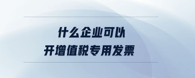 什么企業(yè)可以開(kāi)增值稅專(zhuān)用發(fā)票