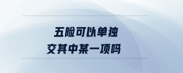 五險(xiǎn)可以單獨(dú)交其中某一項(xiàng)嗎