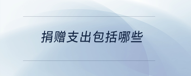 捐贈(zèng)支出包括哪些？