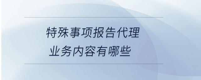 特殊事項報告代理業(yè)務內(nèi)容有哪些
