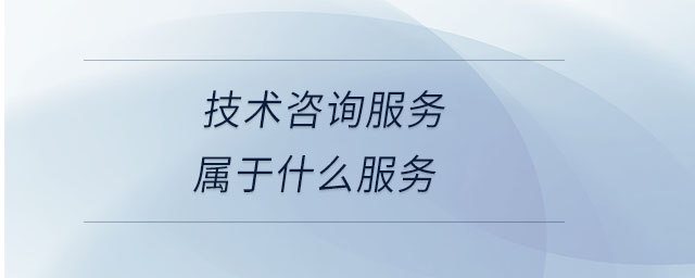 技術咨詢服務屬于什么服務