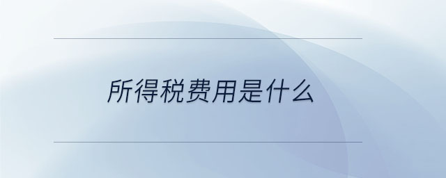 所得稅費用是什么