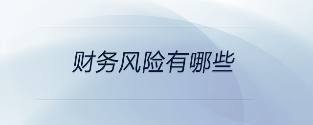 財務風險有哪些
