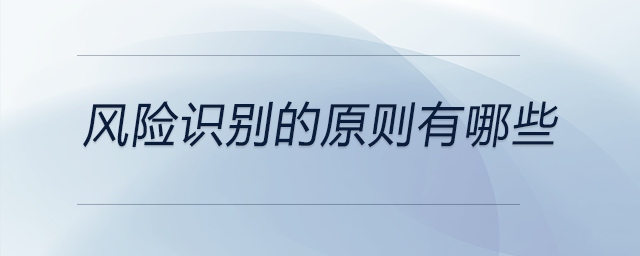 風(fēng)險識別的原則有哪些