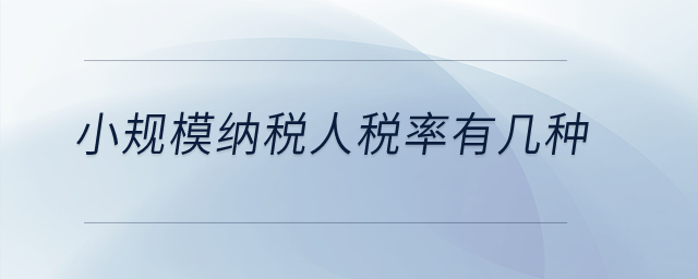 小規(guī)模納稅人稅率有幾種？