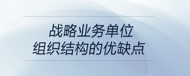 戰(zhàn)略業(yè)務(wù)單位組織結(jié)構(gòu)的優(yōu)缺點(diǎn)