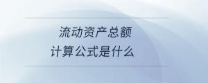 流動(dòng)資產(chǎn)總額計(jì)算公式是什么