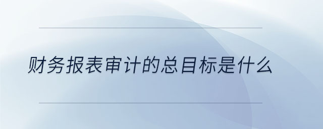 財務(wù)報表審計的總目標是什么