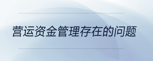 營運(yùn)資金管理存在的問題