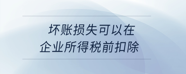壞賬損失可以在企業(yè)所得稅前扣除？
