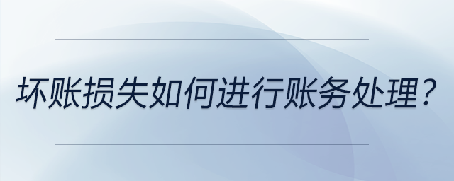 壞賬損失如何進行賬務處理？