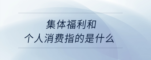 集體福利和個(gè)人消費(fèi)指的是什么？