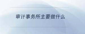 審計(jì)事務(wù)所主要做什么