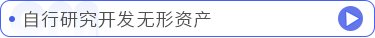 自行研究開發(fā)無(wú)形資產(chǎn)