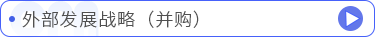 外部發(fā)展戰(zhàn)略（并購(gòu)）