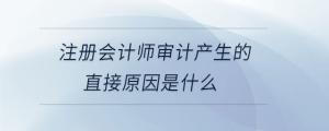 注冊會(huì)計(jì)師審計(jì)產(chǎn)生的直接原因是什么