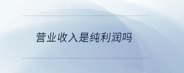 營(yíng)業(yè)收入是純利潤(rùn)嗎