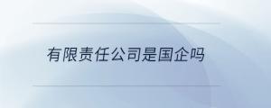 有限責任公司是國企嗎