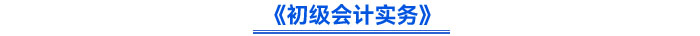 《初級會計(jì)實(shí)務(wù)》
