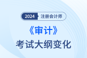 注冊會(huì)計(jì)師審計(jì)大綱變化2024年都有哪些？